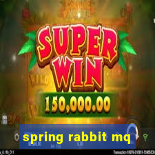 spring rabbit mq